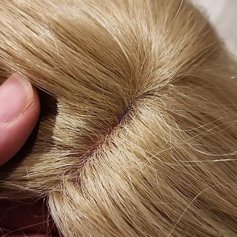 BLONDE MIX New Wig MONO PART Trendy Long Flirty Bob With Heat Friendly Fiber!
